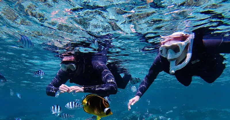 Snorkelers in the glowing blue water inside the Blue Cave at Cape Maeda on a private okinawa snorkeling tour in Onna